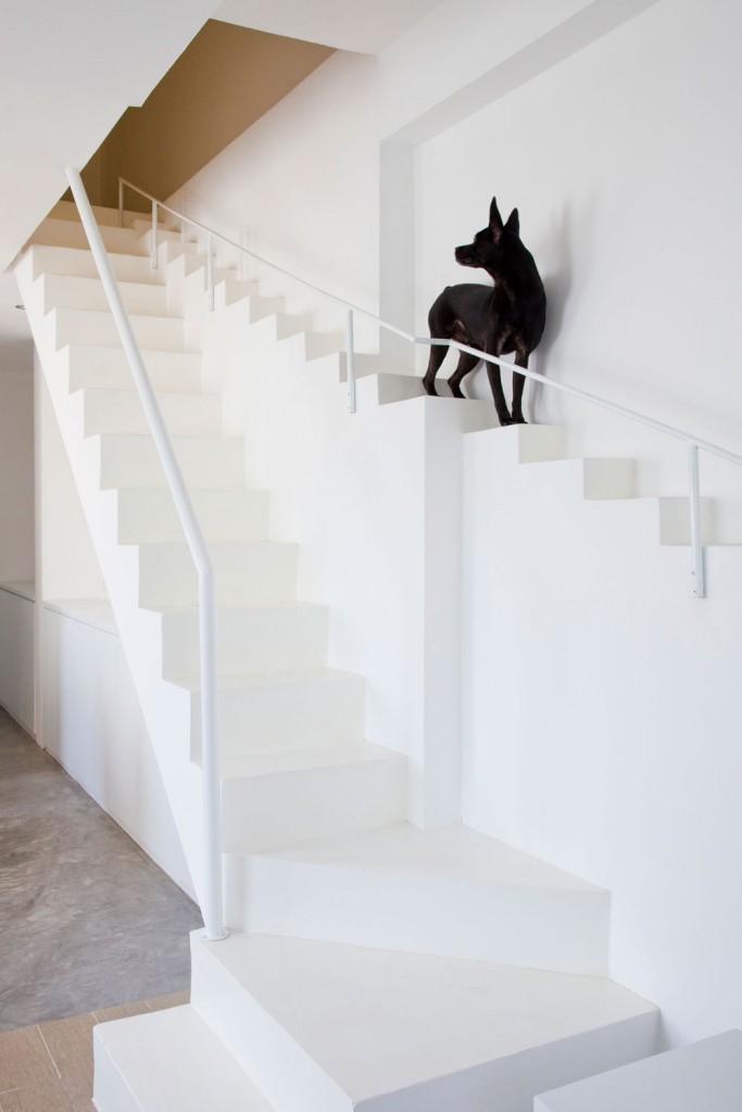 Creative Dog Staircase For Pets in a House in Vietnam