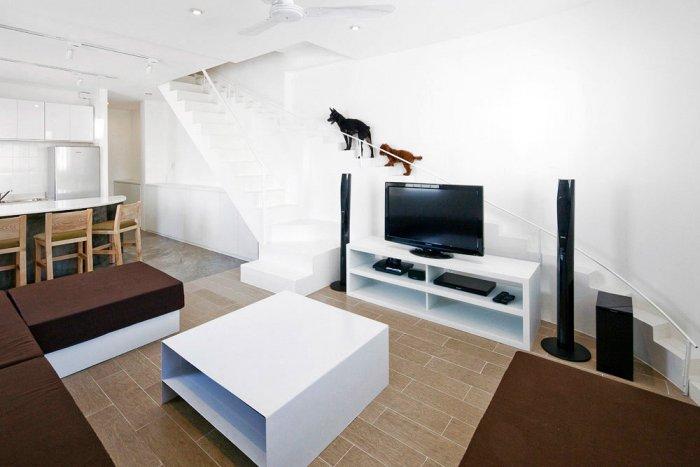 Living Room Design -Creative Dog Staircase For Pets in a House in Vietnam