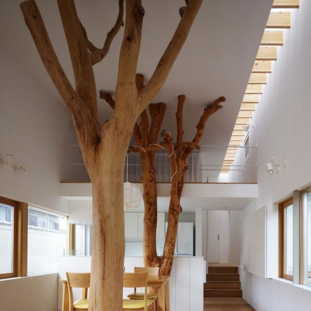 The amazing interior design and architectural design of a house by Ogawa