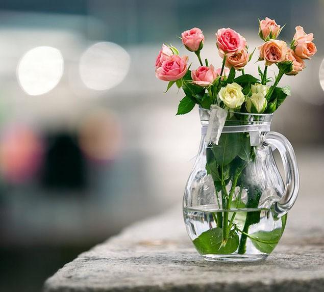 How to Decorate Your Garden with Beautiful Roses