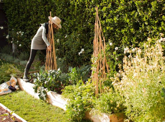 How to Design an Edible Garden - What Plants to Choose