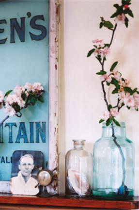 Glass jars used as flowerpots - Home Decoration Ideas for your Favourite Rooms