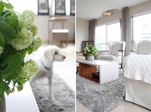 Green decorative elements - Small Eclectic Apartment Interior Design in Amsterdam