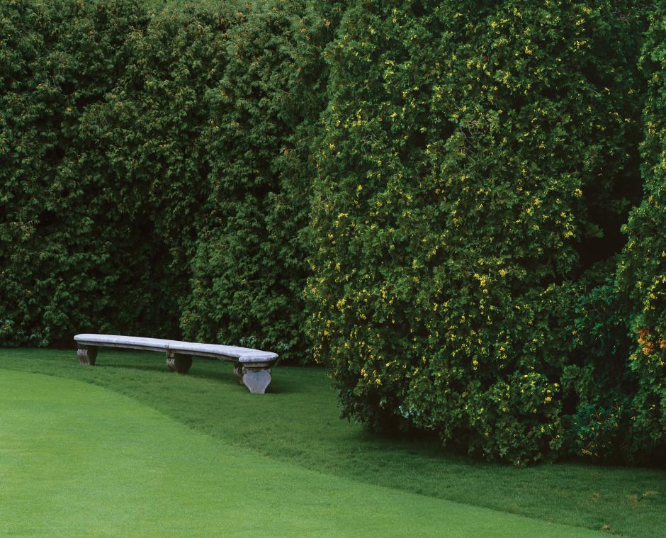 Decorative Hedge Fence Ideas, Tips and Examples