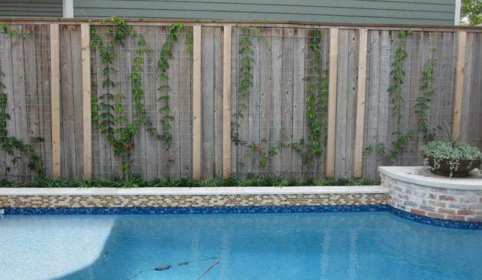 How to Place a Garden Swimming Pool in a Small Yard