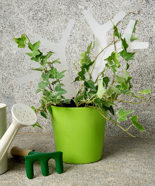 Green flower pot - Garden Kit with Tools for Easy Maintenance by Bubble Design