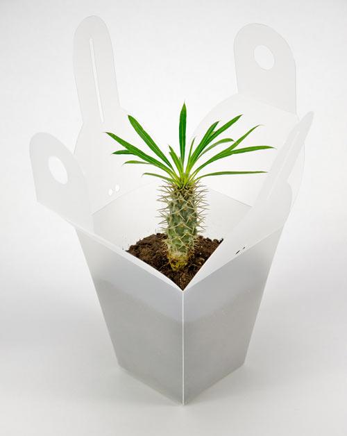 Plastic white home flower pot - Garden Kit with Tools for Easy Maintenance by Bubble Design
