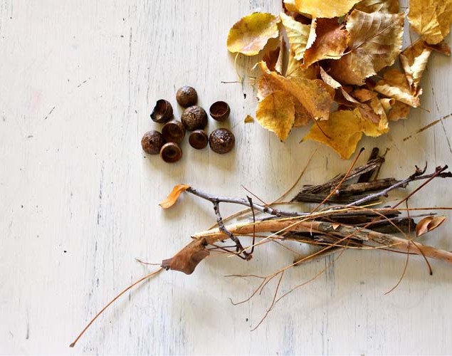9 Easy DIY Decorating Ideas with Autumn Leaves