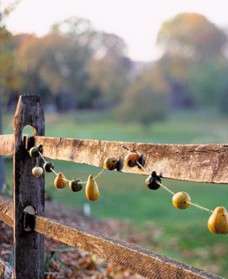 Gourd Garland - How to Decorate your Outdoor Areas for Halloween