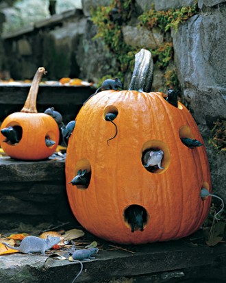 Mouse Motel - How to Decorate your Outdoor Areas for Halloween