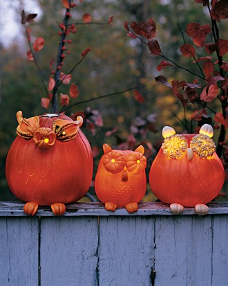 Owl Pumpkins - How to Decorate your Outdoor Areas for Halloween