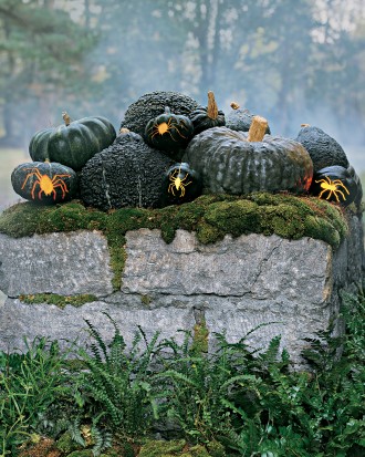 Spider Squash - How to Decorate your Outdoor Areas for Halloween