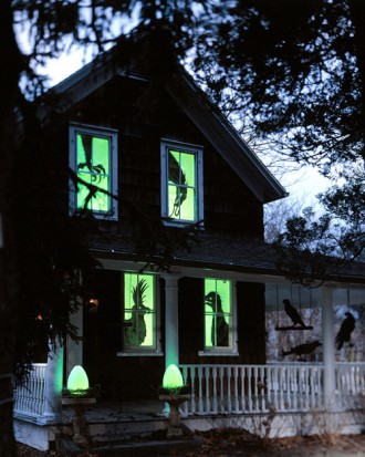 Spooky Birds in Windows - How to Decorate your Outdoor Areas for Halloween