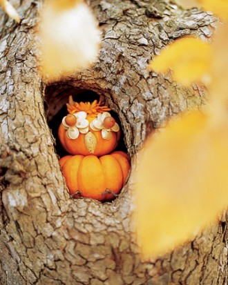 Wise Owl Pumpkin - How to Decorate your Outdoor Areas for Halloween