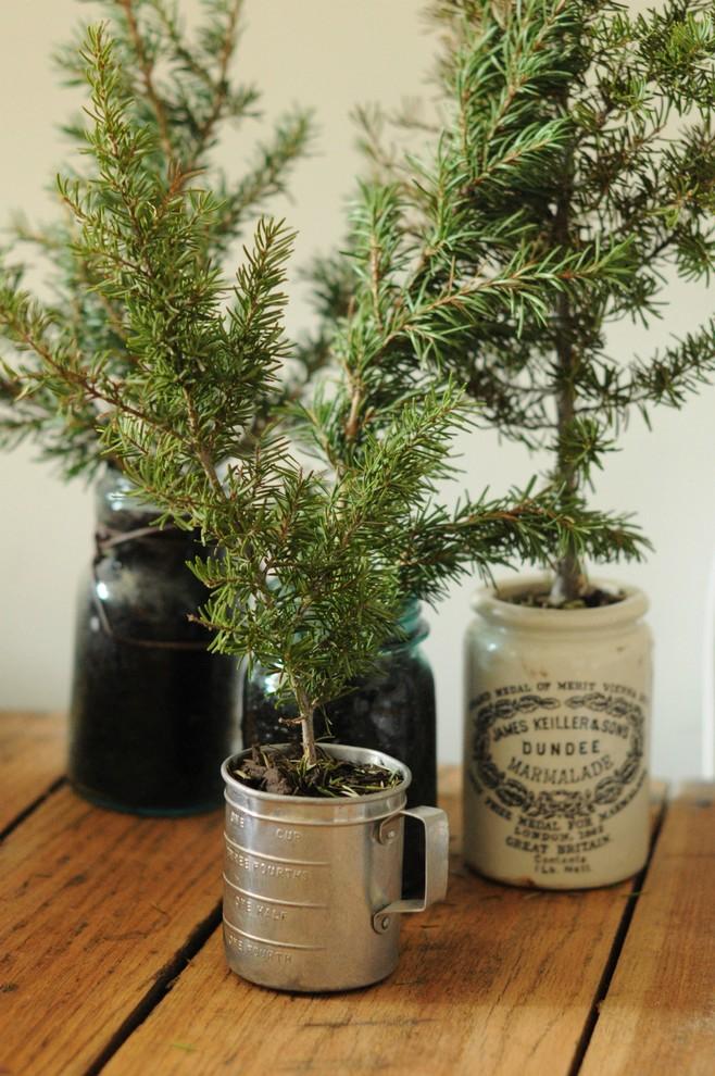 Christmas tree cuttings potted in vintage containers - 17 Scandinavian Examples of Home Decorations