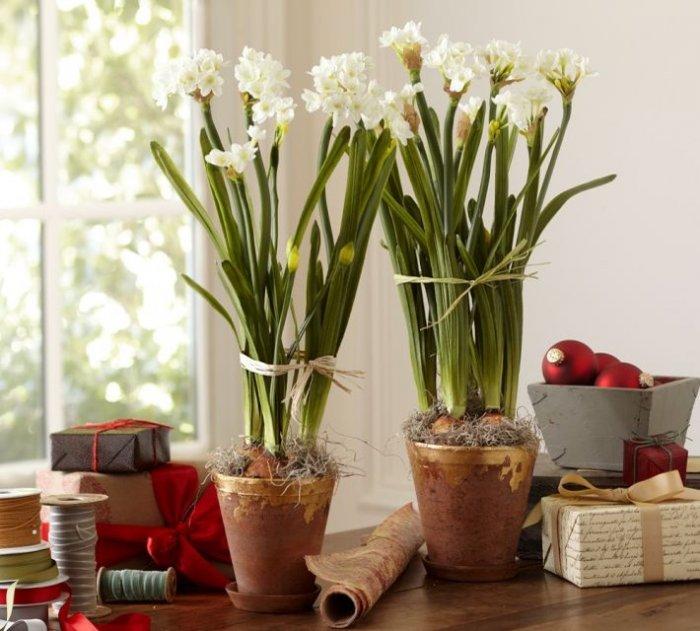 Lovely Christmas paperwhites - Decorating Ideas with Scandinavian Touch