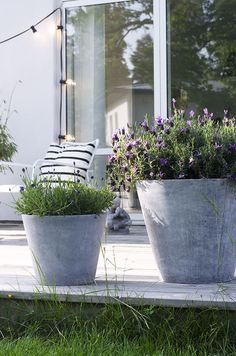 giant-concrete-bowl-of-flowers-for-decoration- Contemporary Outdoor Garden Ideas 