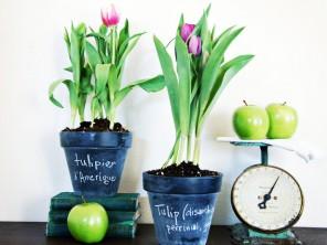 Easter Decorating Ideas for Funny and Colorful Mood