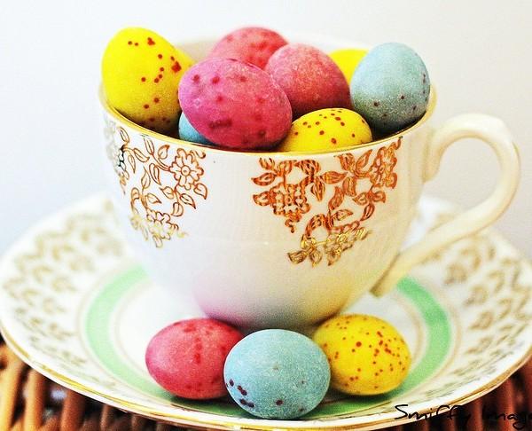 Vivid colorful eggs in a tea cup