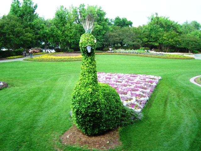 Garden art sculpture - peacock standing on the ground