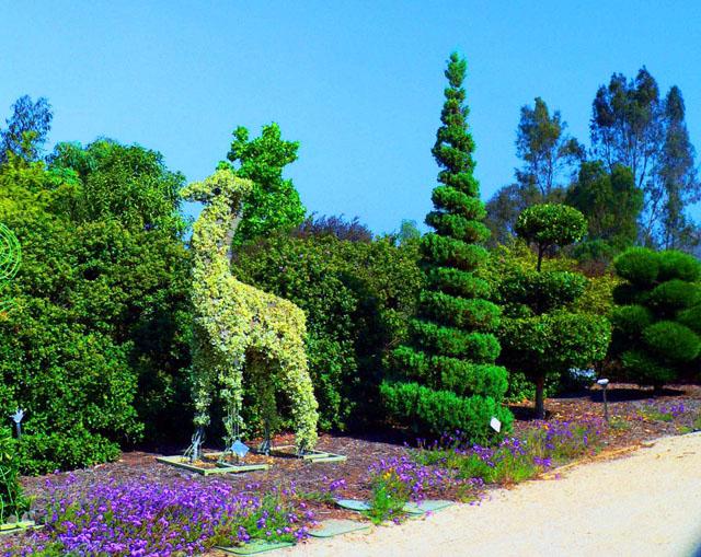Garden art sculpture - sweet little giraffe eating green