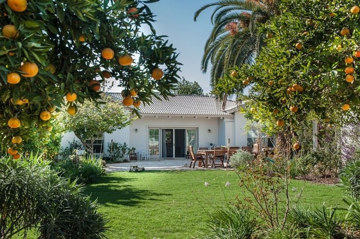 Summer garden with fruit trees and dining table outside