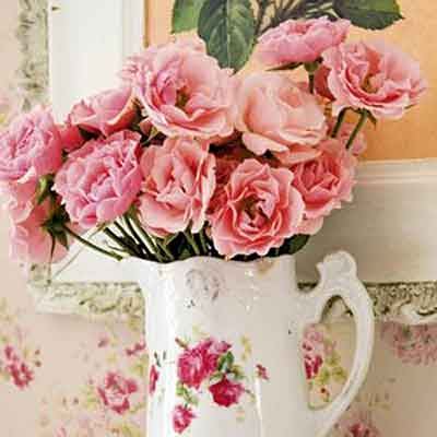 Pink roses inside a traditional porcelain white pitcher