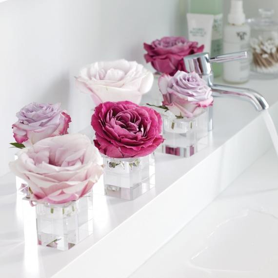 Romantic roses in small candleholders on a bathroom shelf