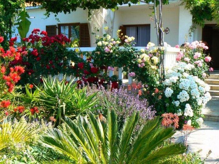 White and red Mediterranean flowers growing in a small garden in front of a white house