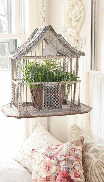 Decorative cage in a shabby chic living room