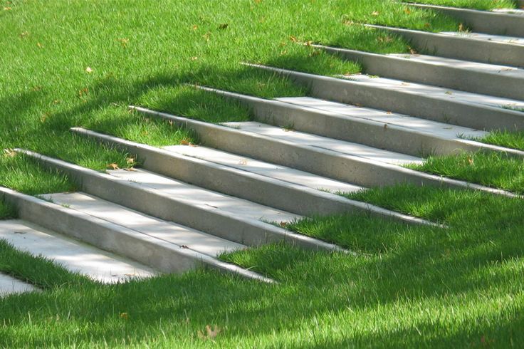 Garden stairs connecting the lower and higher parts