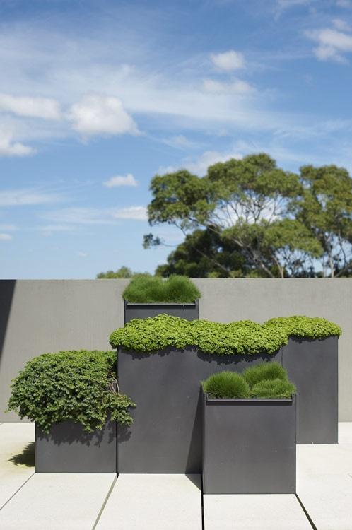 Minimalist flower pots with plants that can be placed outside