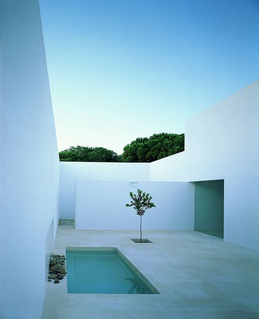 Minimalist house with clean garden