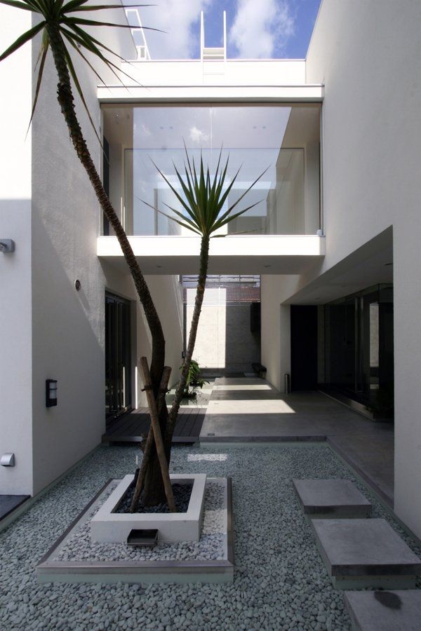 Minimalist inner courtyard with palm trees