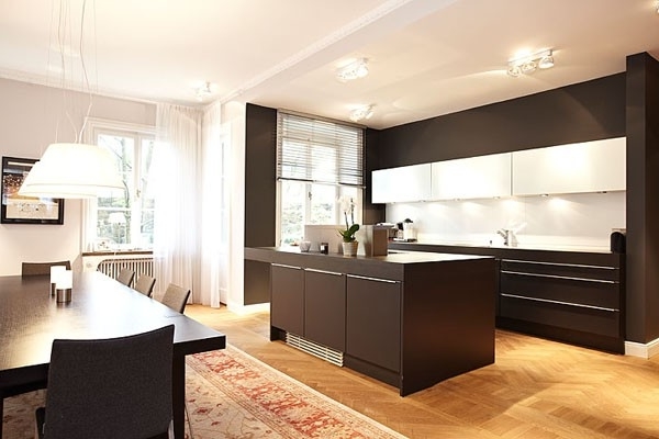 Minimalist kitchen in an eclectic loft