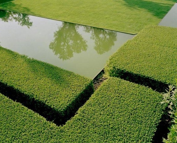 Minimalist pond with surrounding hedge