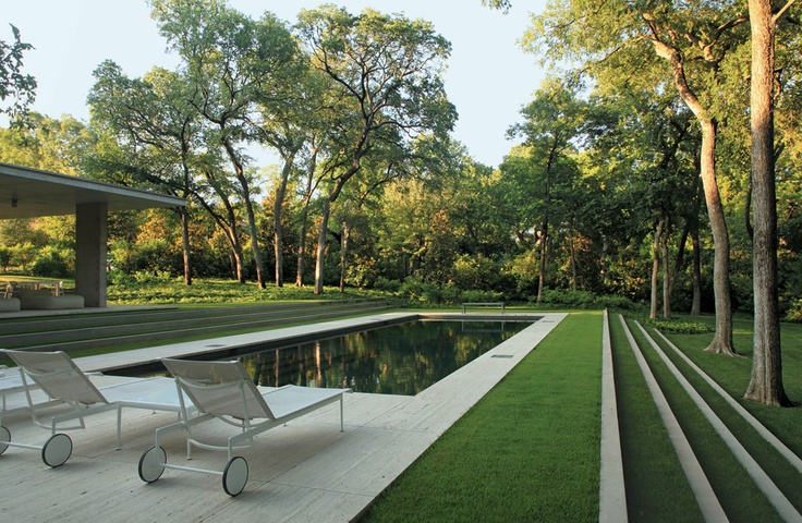 Minimalist swimming pool with grass and two lounge chairs