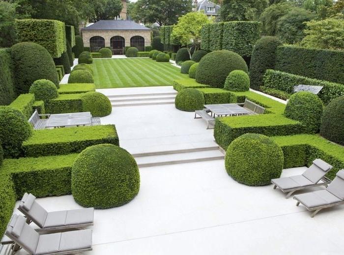 Simple garden with white pebbles and shrubs