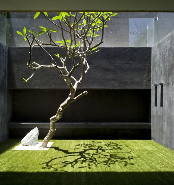 Trendy small garden with grass and tree