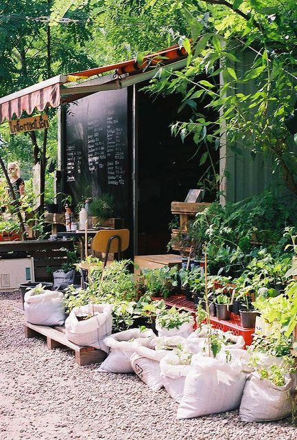 Cafe garden - with pebbles and interesting plants