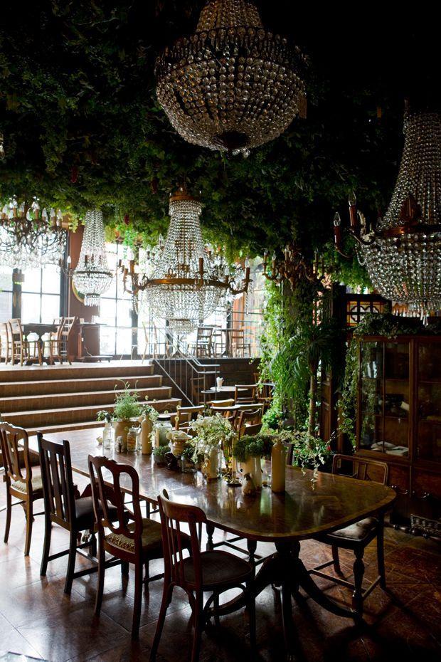 Interior flower decoration - with plants and eclectic chandeliers