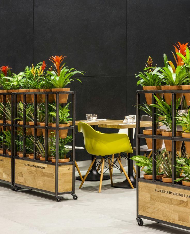 Interior plants - forming separate niches for tables