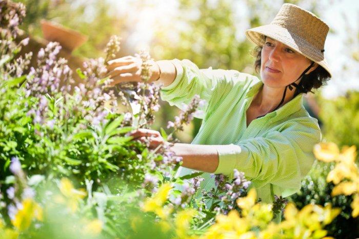 A woman maintaining her garden