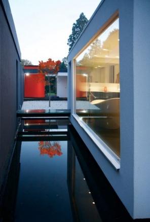 A Beautiful Touch From A Deep Forest - Contemporary Modern House in the UK - London Area