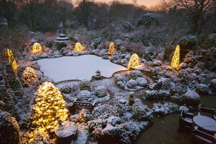 Creating the perfect winter garden wonderland: winter garden ideas firepit robin winter sence, winter garden lighting
