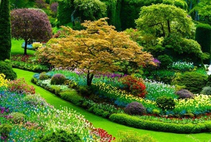 The Art of Designing the Garden of Your Dreams: Choosing the Right Flowers