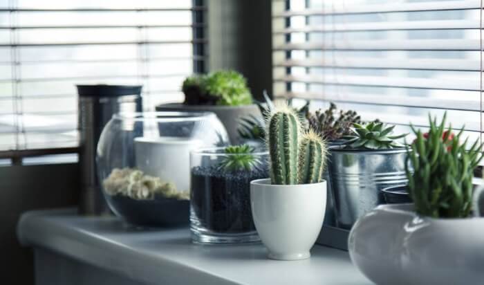 Spring is Here - Give Your Home a Nice Refreshment: Bring outdoors inside