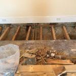 Dealing with Dry Rot Infestation