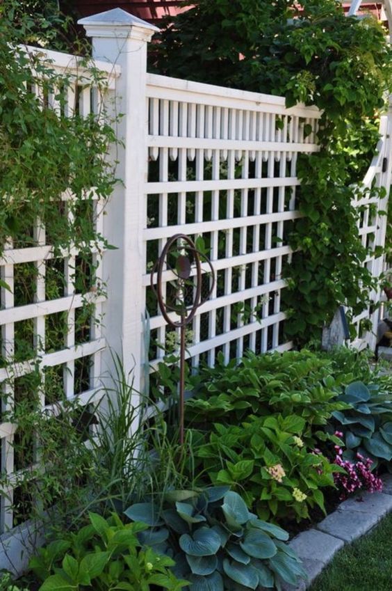 Painting it in White – Very Cheap Garden Fence Ideas