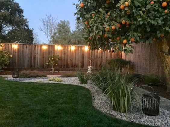 Planting Fruit Trees – Perfect for People Who Want Fresh Fruit